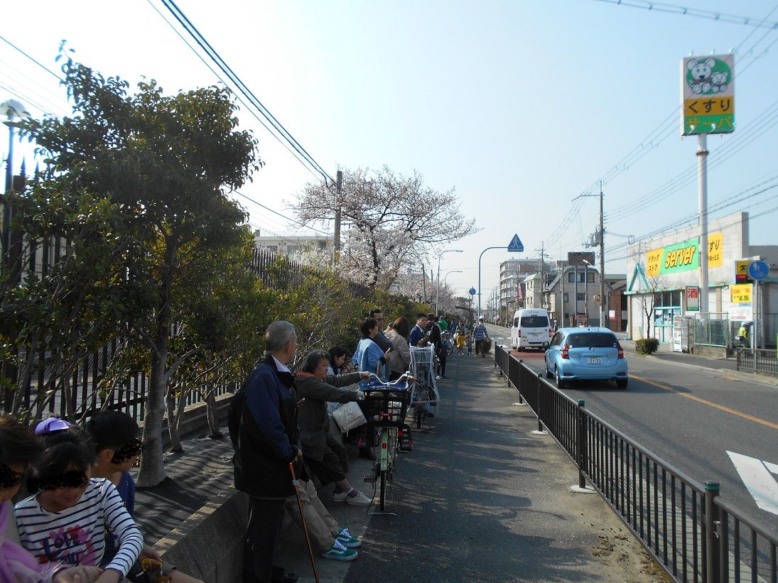 平成最後の伊丹駐屯地さくらまつり 猫宮とらお日記