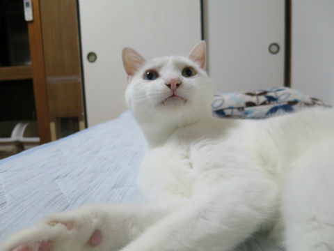 124