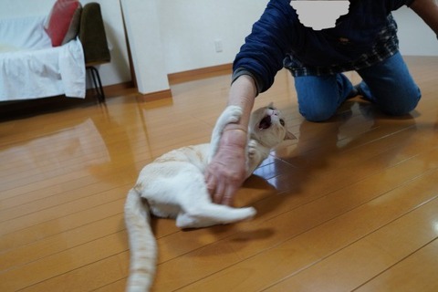 DSC01421