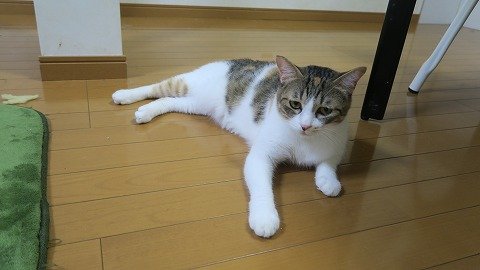 IMG_5300