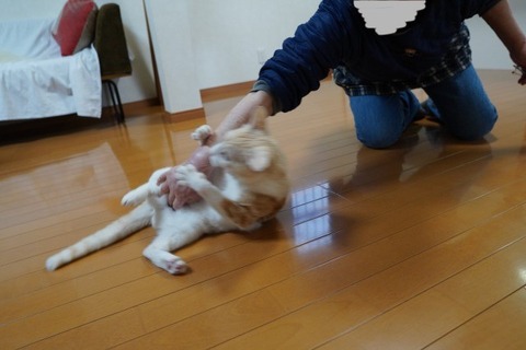 DSC01422