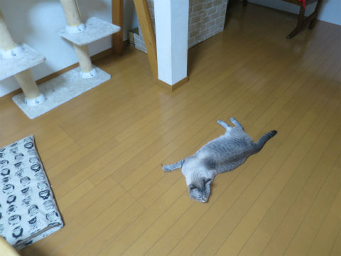 060