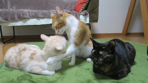IMG_2757