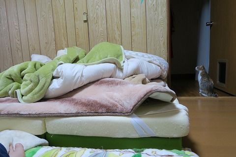 file00384