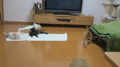 IMG_3630