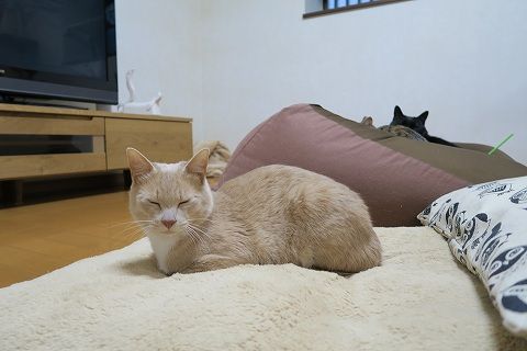 IMG_9700