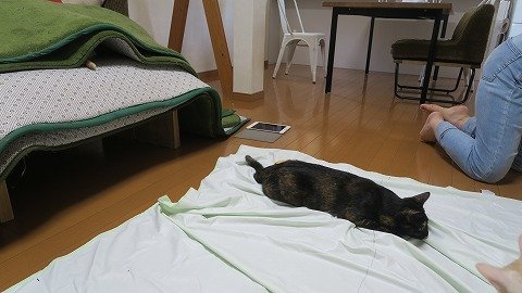 IMG_3558