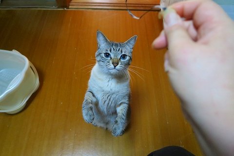 IMG_8463