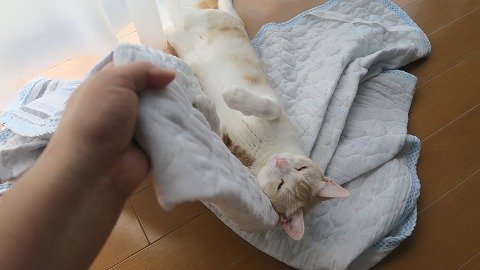 IMG_6157