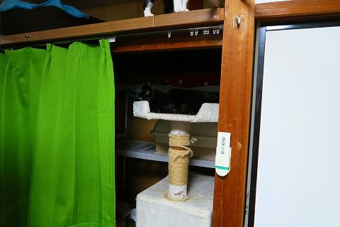 IMG_1816