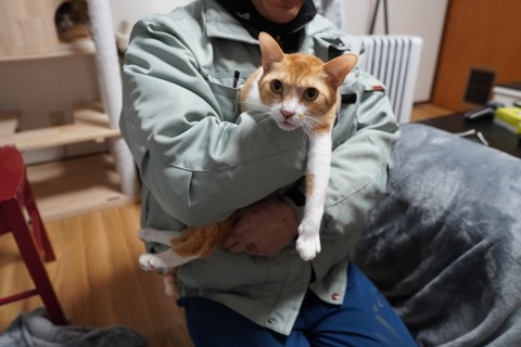 DSC04002
