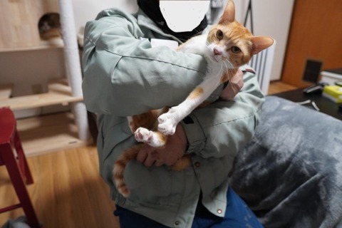 DSC04006