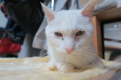IMG_2768