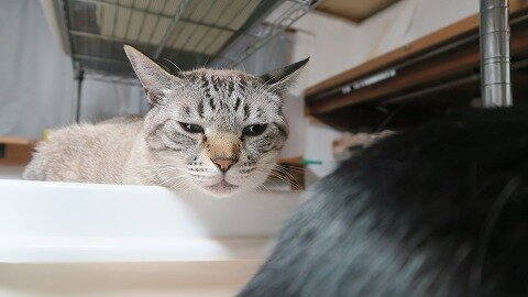 IMG_1570