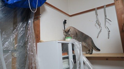 IMG_8437