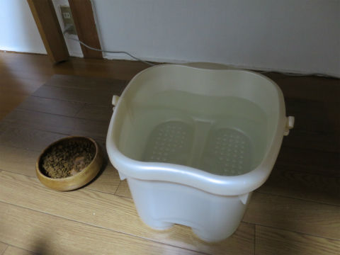 給水器を倒す要因が多すぎるのでサイズと形状を考慮した結果 足湯用バケツ が採用された ねこもり
