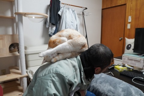 DSC04022