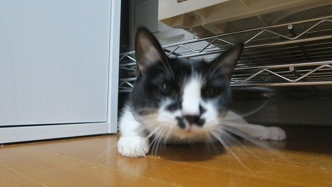 IMG_5626