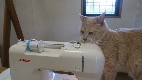 IMG_3633