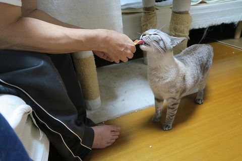 IMG_0293