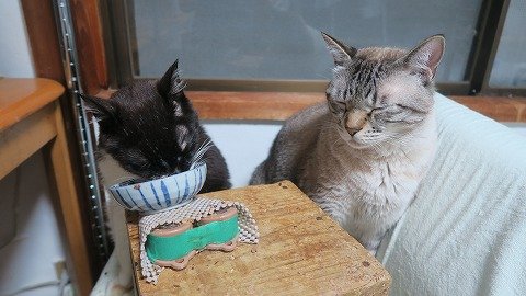 IMG_5796