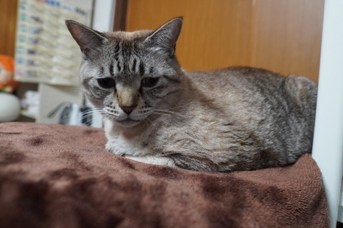 DSC04180