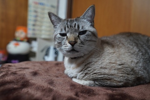 DSC04170
