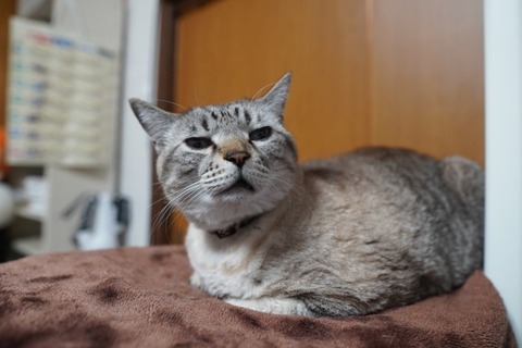 DSC04183