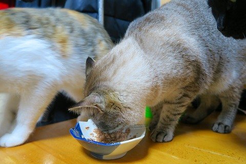 IMG_2258