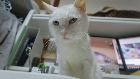 IMG_1857