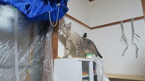 IMG_8440