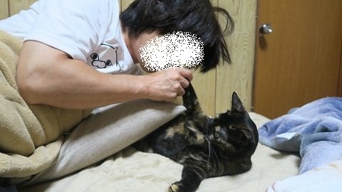 よそ様がどうかは知らないが ねこもりさんちの野郎どもは揃いも揃って残念仕様でできている ねこもり よそ様がどうかは知らないが ねこもりさんちの野郎どもは揃いも揃って残念仕様でできている ねこもり