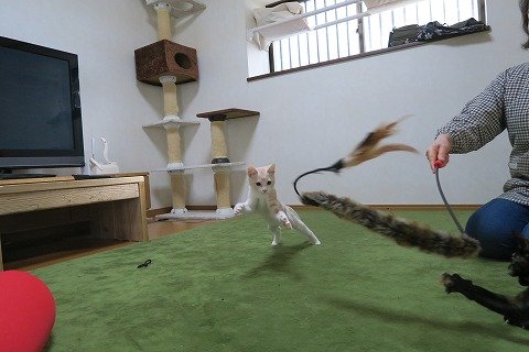 IMG_3631