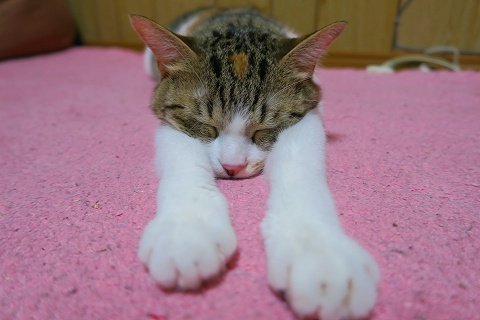 IMG_5673
