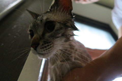 IMG_0369