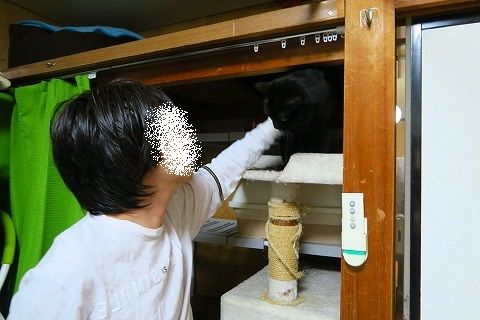 IMG_2601