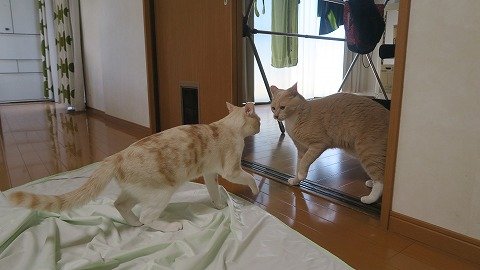 IMG_3552