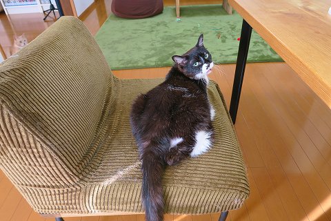 IMG_9891