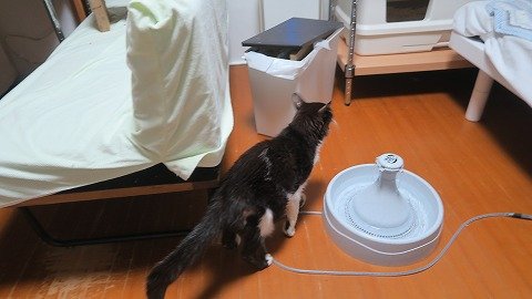 IMG_5799