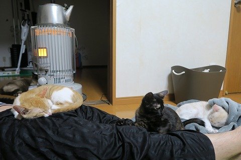 IMG_0247