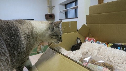 IMG_0252