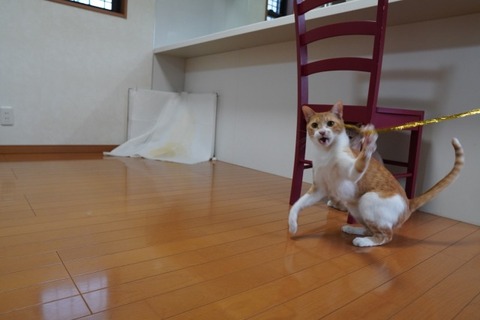 DSC01263