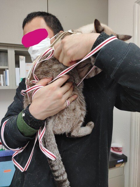 IMG_20221110_192513の2