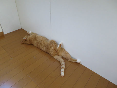 178