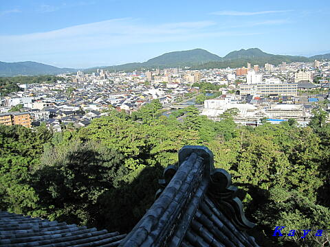 6IMG_7972
