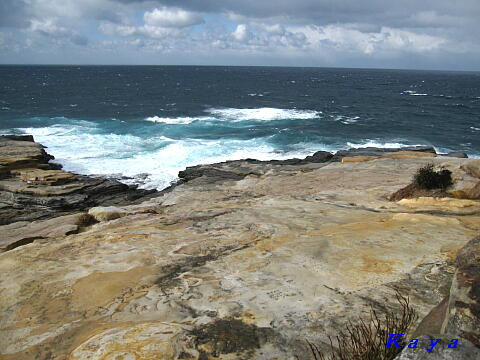 5IMG_4292