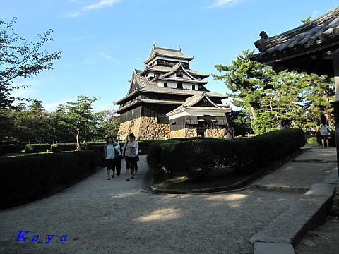 6IMG_7992