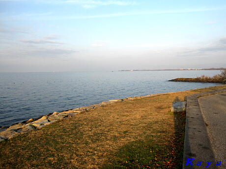 8IMG_1759
