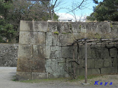 7IMG_3918