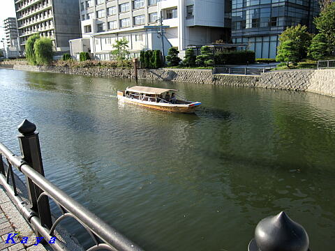 6IMG_8012